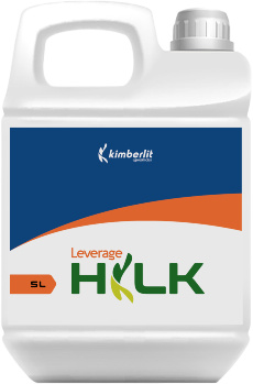 HLK