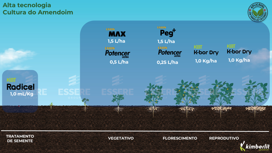 Amendoim