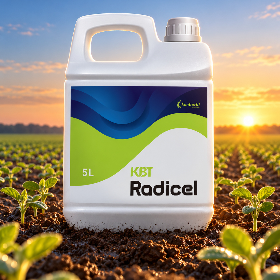 KBT Radicel