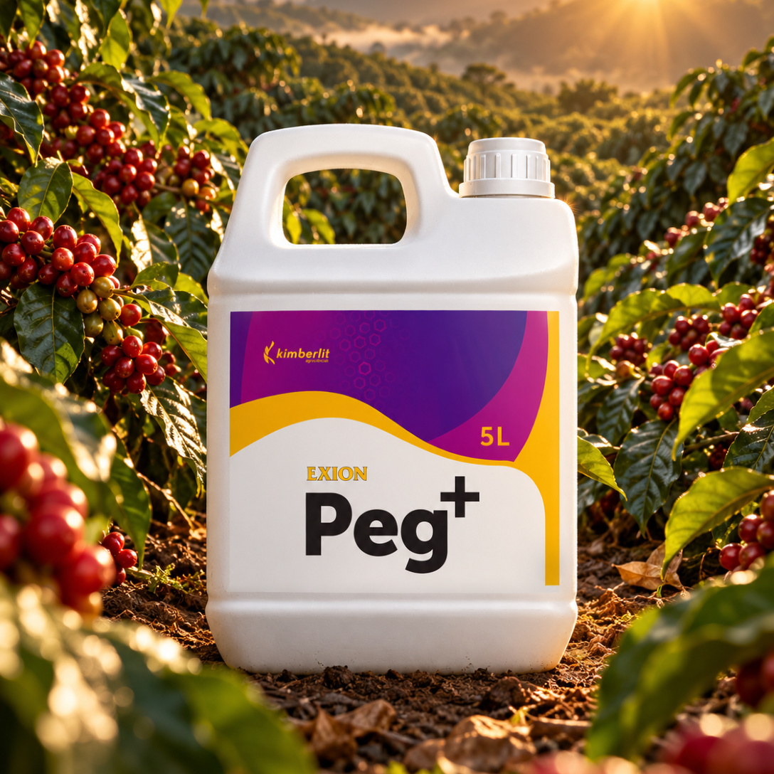 Exion Peg +