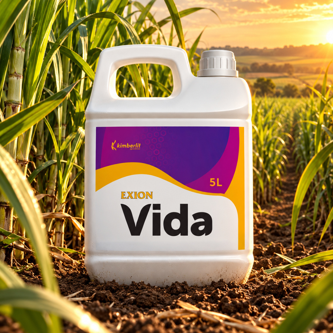 Exion Vida