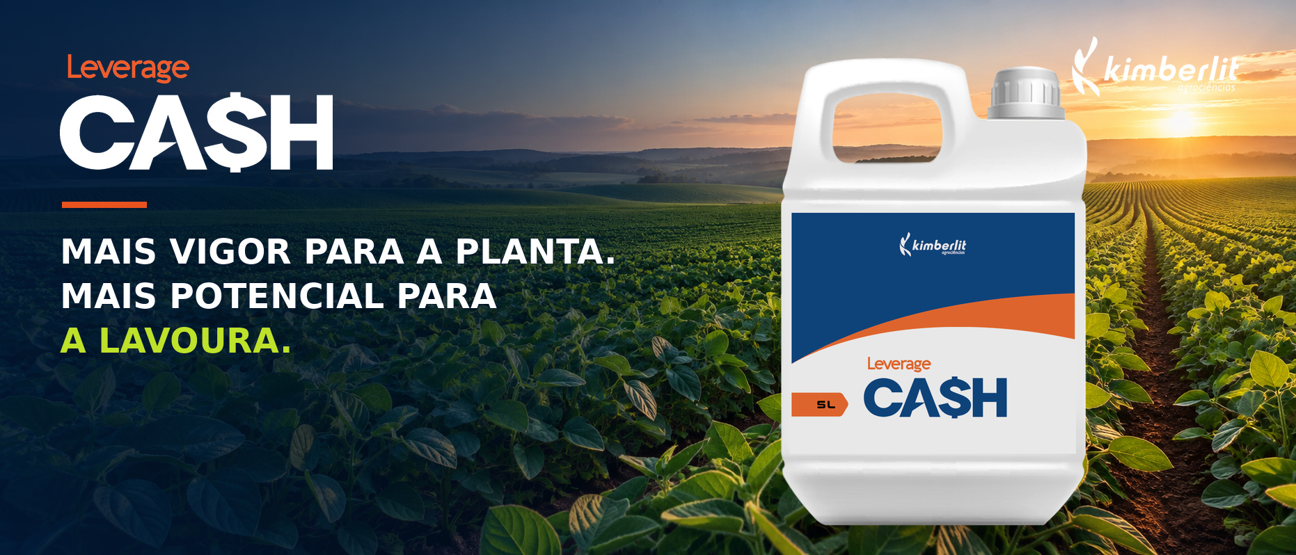 Imagem do CASH